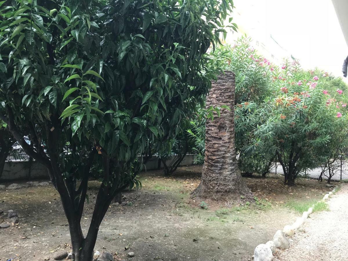 Ferienwohnung Les Clementines Nizza Exterior foto